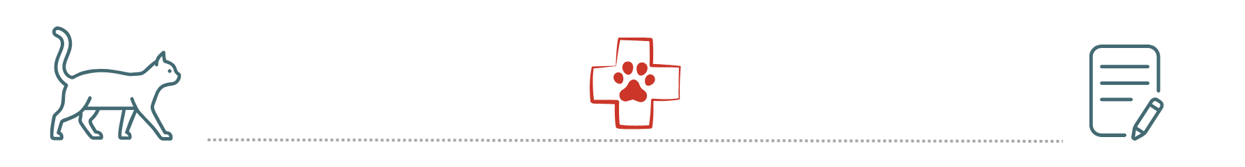 preventive care visit supported by pet insurance at Family Veterinary Inc Los Angeles CA