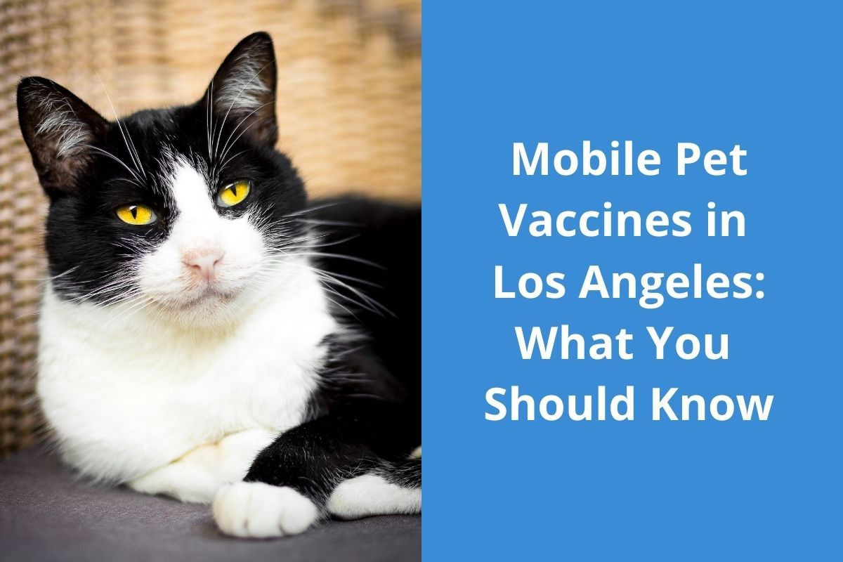 Mobile-Pet-Vaccines-in-Los-Angeles_-What-You-Should-Know