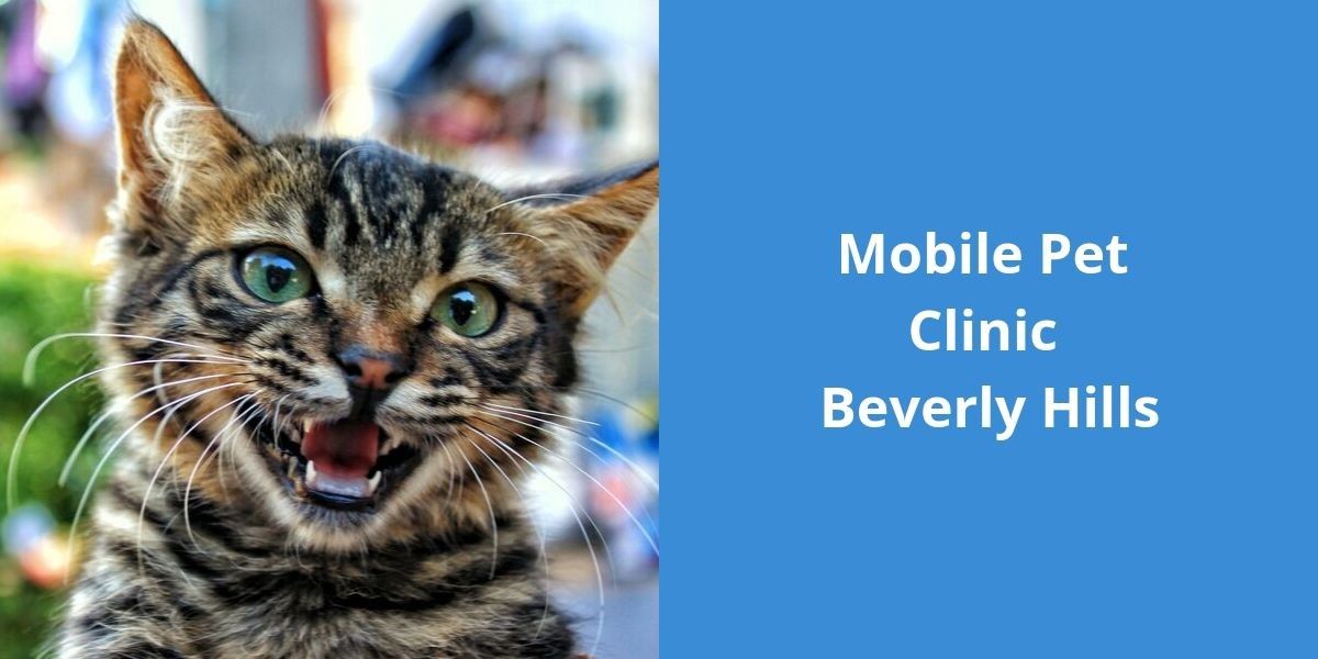 Mobile Pet Clinic Beverly Hills - Blog