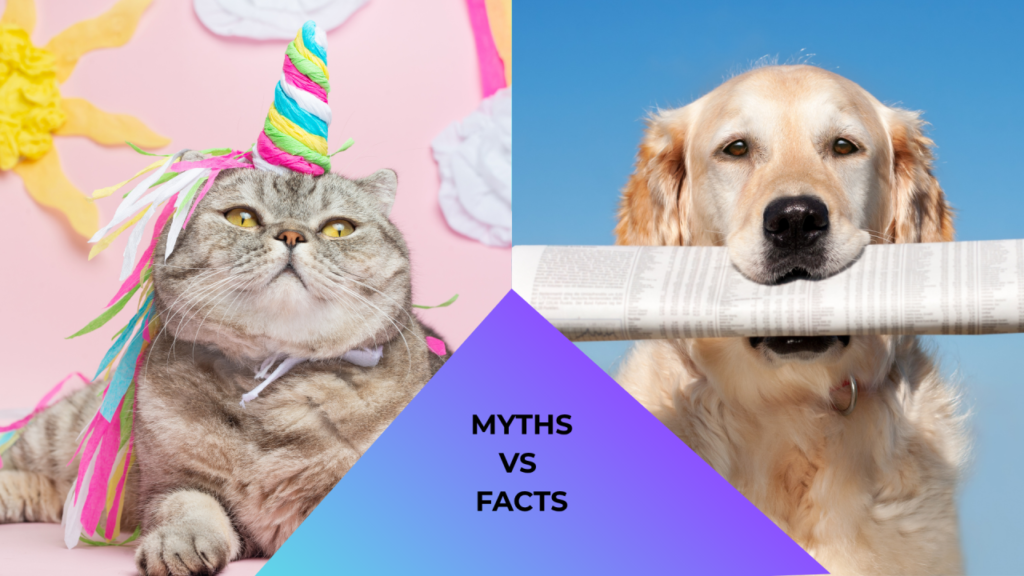 Pet Myth vs Fact with Cat and Dog