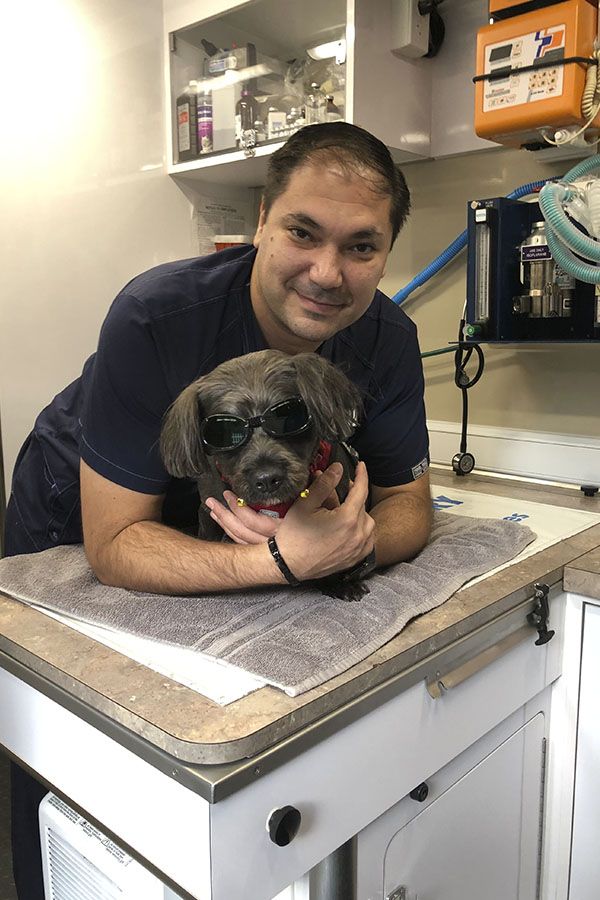 A person embraces a small dog wearing sunglasses on a veterinary examination table.