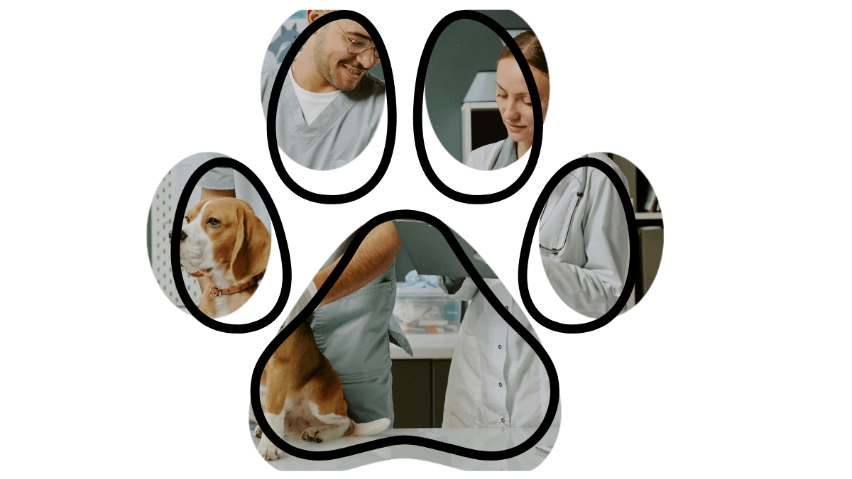 Three veterinarians caring for a beagle puppy, within the shape of a paw print.